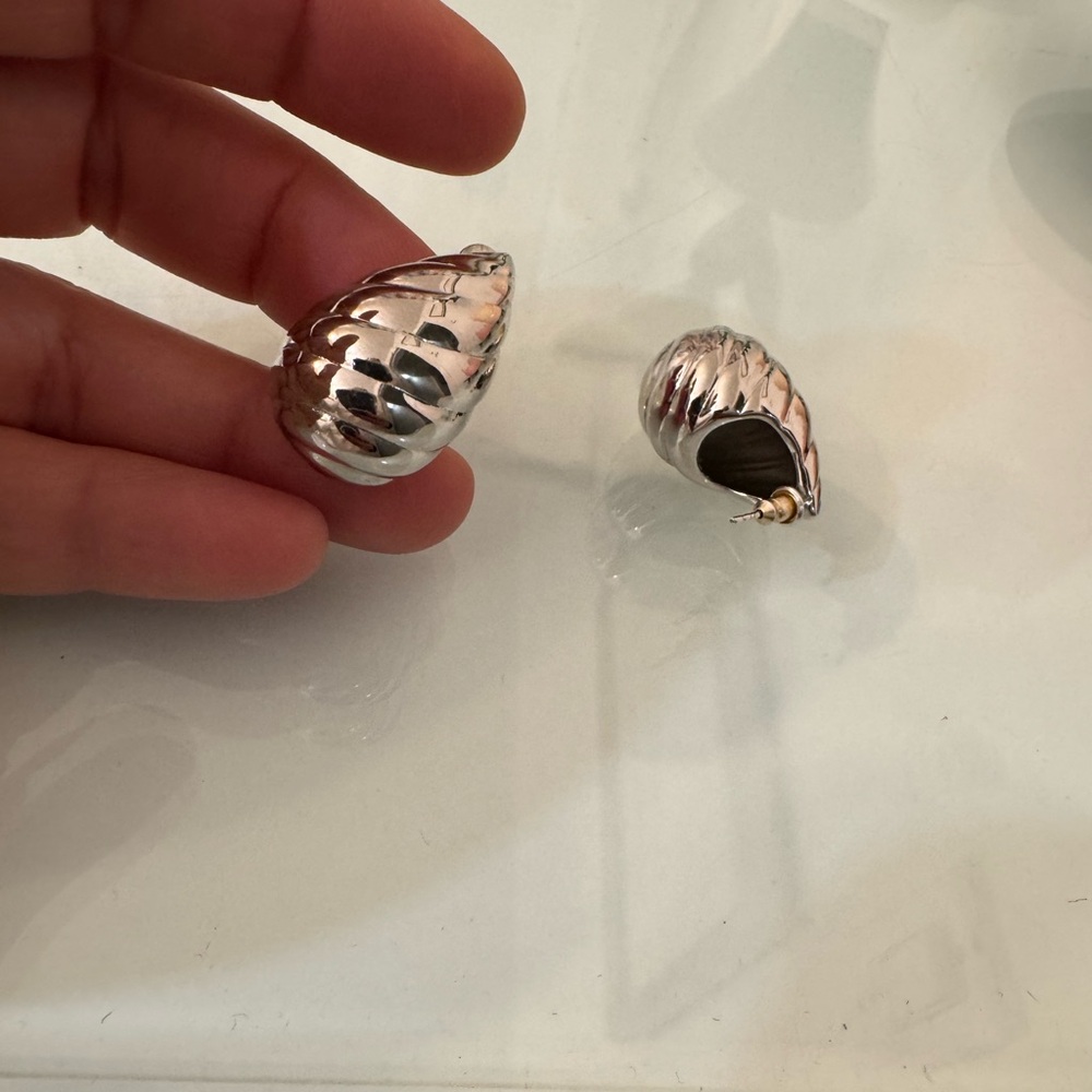 Elegant Silver Shell Earrings